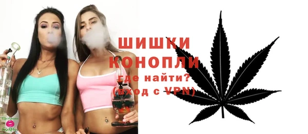 дживик Баксан