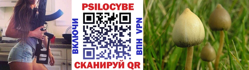 площадка официальный сайт  Чаплыгин  Галлюциногенные грибы Psilocybe 