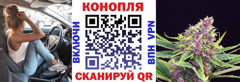 МАРИХУАНА сатива  Чаплыгин 